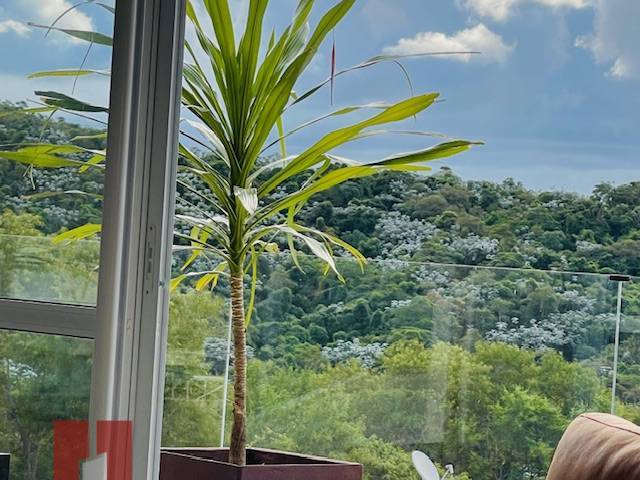 Casa para Venda em Santana de Parnaíba - 5